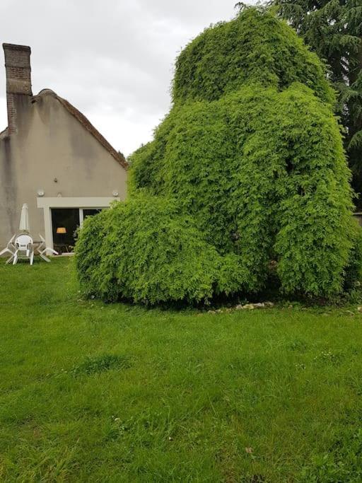 Chaumiere Avec Sa Toiture Recouverte De Chaume !!! Donnemain-Saint-Mames Exterior foto